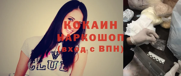 крисы Богородицк