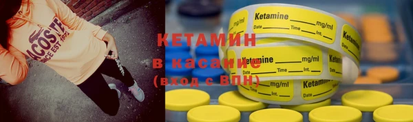 крисы Богородицк