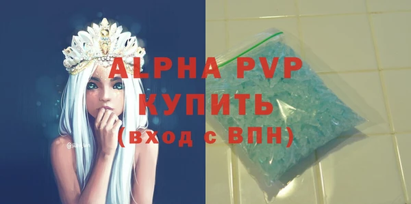крисы Богородицк