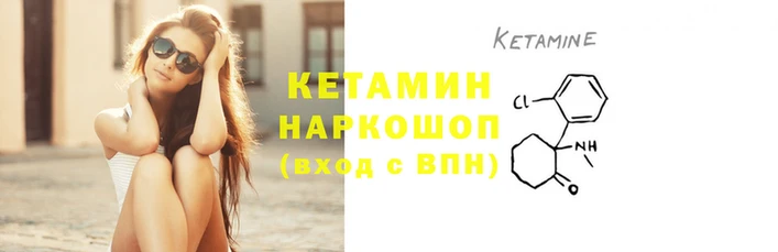 крисы Богородицк