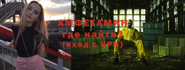 крисы Богородицк
