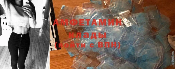 крисы Богородицк