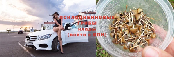крисы Богородицк